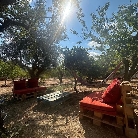 B&B Villa Tiziana Monopoli Eksteriør bilde